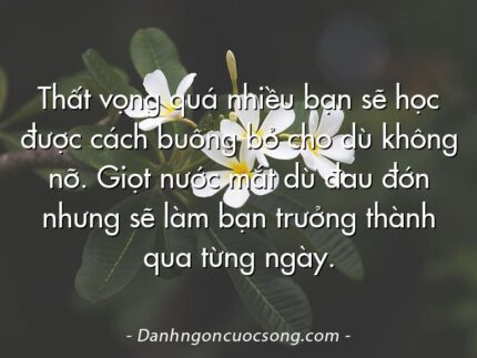 Thất vọng quá nhiều bạn sẽ học được cách buông bỏ cho dù không nỡ. Giọt nước mắt dù đau đớn nhưng sẽ làm bạn trưởng thành qua từng ngày.