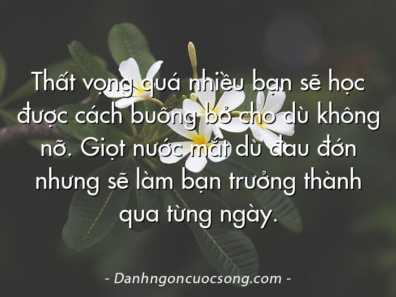 Thất vọng quá nhiều bạn sẽ học được cách buông bỏ cho dù không nỡ. Giọt nước mắt dù đau đớn nhưng sẽ làm bạn trưởng thành qua từng ngày.