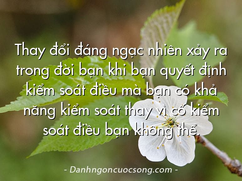 Thay đổi đáng ngạc nhiên xảy ra trong đời bạn khi bạn quyết định kiểm soát điều mà bạn có khả năng kiểm soát thay vì cố kiểm soát điều bạn không thể.