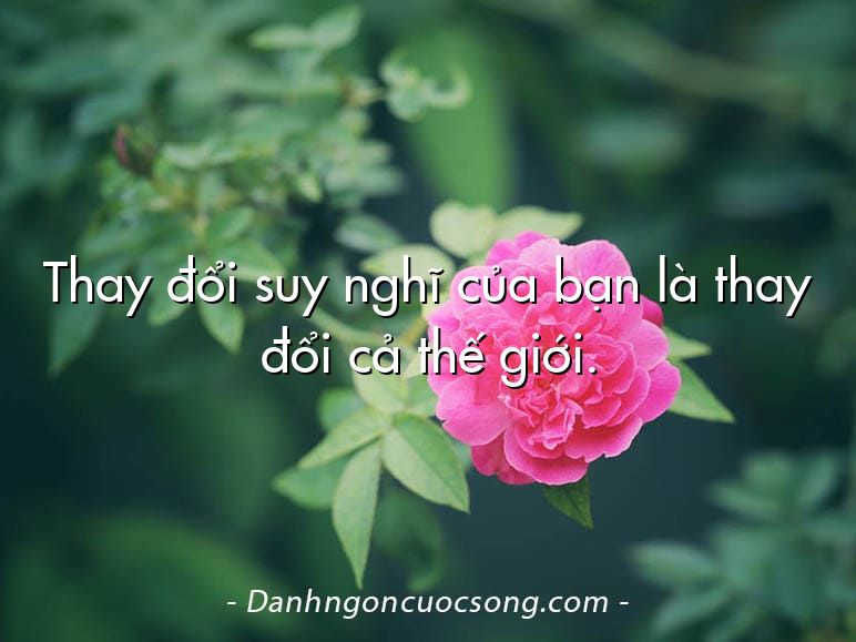 Thay đổi suy nghĩ của bạn là thay đổi cả thế giới.