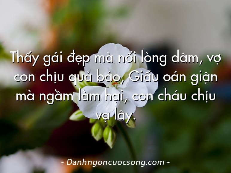 Thấy gái đẹp mà nổi lòng dâm, vợ con chịu quả báo, Giấu oán giận mà ngầm làm hại, con cháu chịu vạ lây.