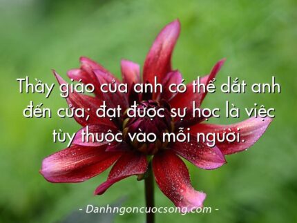 Thầy giáo của anh có thể dắt anh đến cửa; đạt được sự học là việc tùy thuộc vào mỗi người.