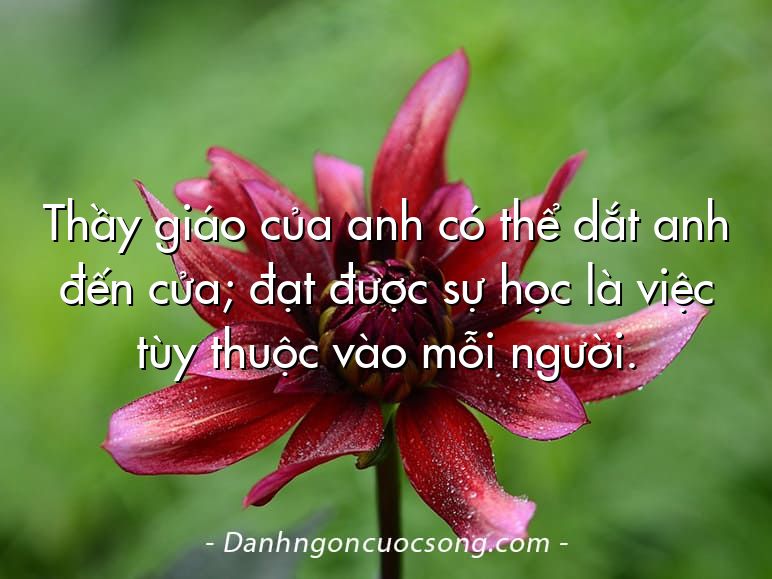 Thầy giáo của anh có thể dắt anh đến cửa; đạt được sự học là việc tùy thuộc vào mỗi người.