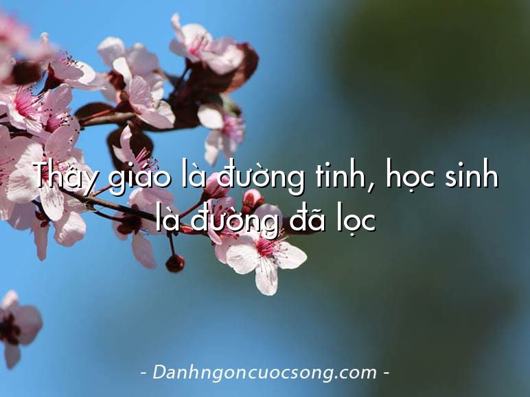 Thầy giáo là đường tinh, học sinh là đường đã lọc