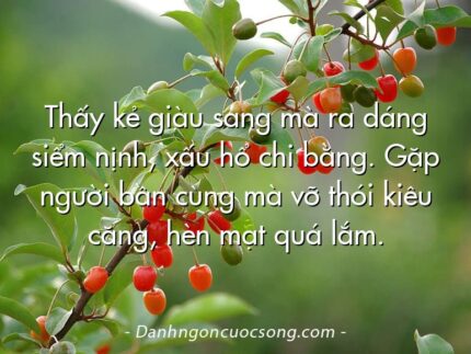 Thấy kẻ giàu sang mà ra dáng siểm nịnh, xấu hổ chi bằng. Gặp người bần cùng mà vỡ thói kiêu căng, hèn mạt quá lắm.
