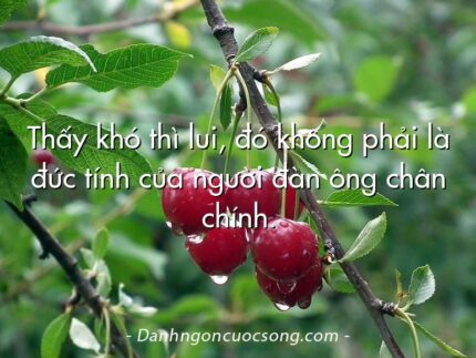 Thấy khó thì lui, đó không phải là đức tính của người đàn ông chân chính.