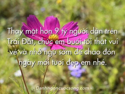 Thay mặt hơn 9 tỷ người dân trên Trái Đất, chúc em buổi tối thật vui vẻ và nhớ ngủ sớm để chào đón ngày mới tươi đẹp em nhé.