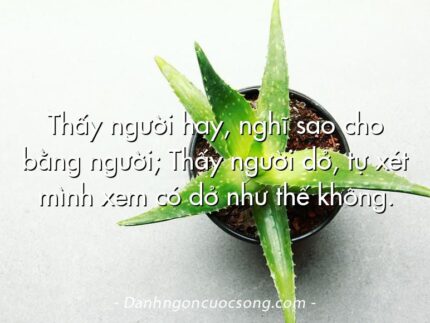Thấy người hay, nghĩ sao cho bằng người; Thấy người dở, tự xét mình xem có dở như thế không.