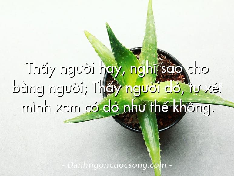 Thấy người hay, nghĩ sao cho bằng người; Thấy người dở, tự xét mình xem có dở như thế không.