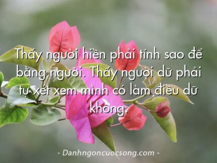 Thấy người hiền phải tính sao để bằng người. Thấy người dữ phải tự xét xem mình có làm điều dữ không.