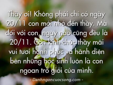 Thầy ơi! Không phải chỉ có ngày 20/11 con mới nhớ đến thầy. Mà đối với con, ngày nào cũng đều là 20/11. Con kính chúc thầy mãi vui tươi hạnh phúc và hãnh diện bên những học sinh luôn là con ngoan trò giỏi của mình.