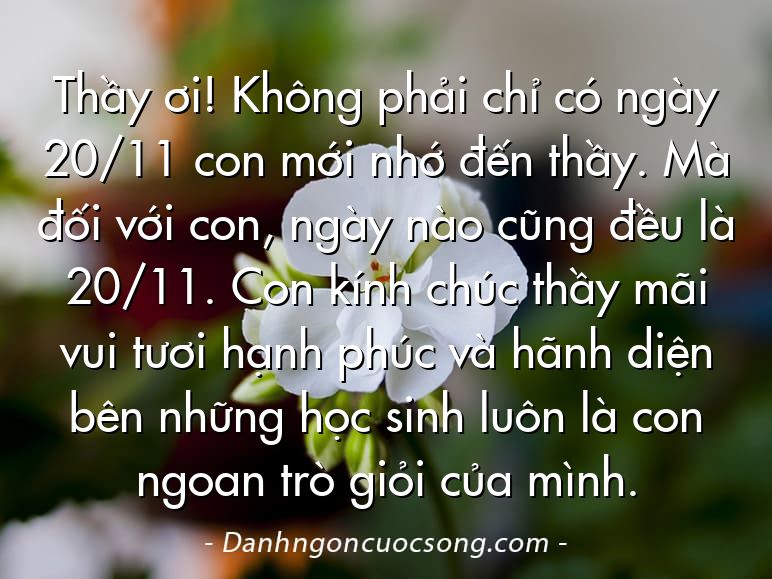Thầy ơi! Không phải chỉ có ngày 20/11 con mới nhớ đến thầy. Mà đối với con, ngày nào cũng đều là 20/11. Con kính chúc thầy mãi vui tươi hạnh phúc và hãnh diện bên những học sinh luôn là con ngoan trò giỏi của mình.
