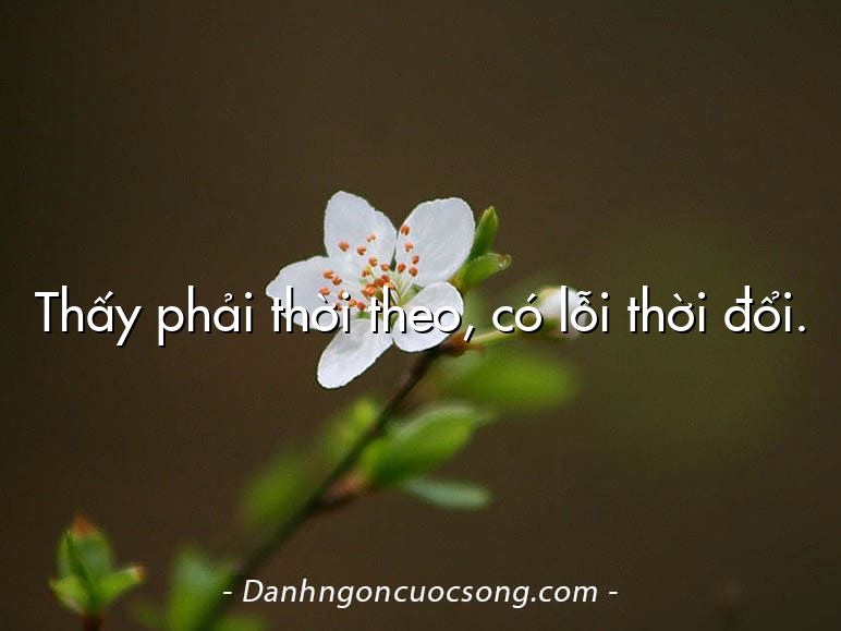 Thấy phải thời theo, có lỗi thời đổi.