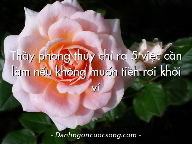 Thầy phong thủy chỉ ra 5 việc cần làm nếu không muốn tiền rơi khỏi ví