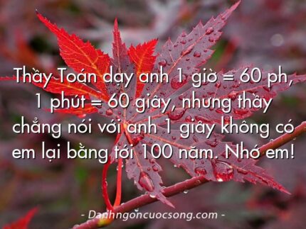 Thầy Toán dạy anh 1 giờ = 60 ph, 1 phút = 60 giây, nhưng thầy chẳng nói với anh 1 giây không có em lại bằng tới 100 năm. Nhớ em!