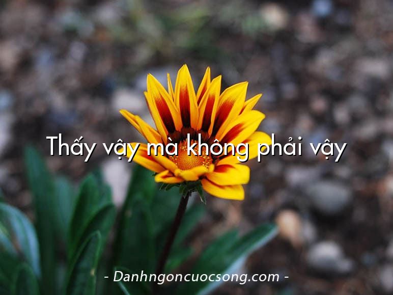 Thấy vậy mà không phải vậy