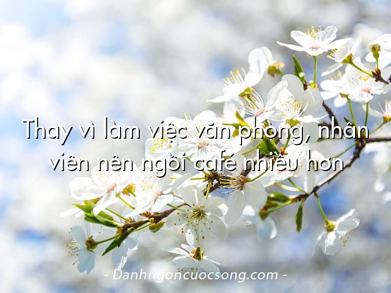 Thay vì làm việc văn phòng, nhân viên nên ngồi café nhiều hơn