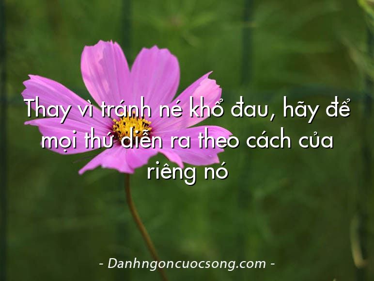 Thay vì tránh né khổ đau, hãy để mọi thứ diễn ra theo cách của riêng nó