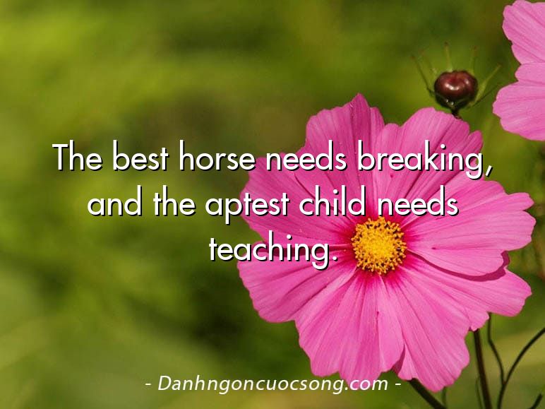 The best horse needs breaking, and the aptest child needs teaching.