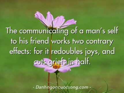 The communicating of a man’s self to his friend works two contrary effects: for it redoubles joys, and cuts griefs in half.