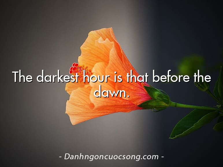 The darkest hour is that before the dawn.