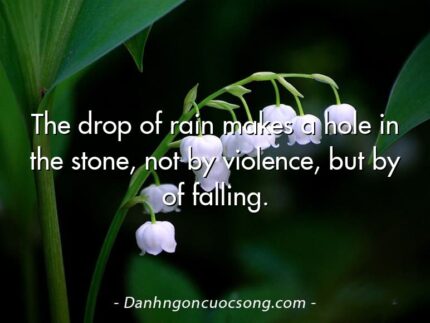 The drop of rain makes a hole in the stone, not by violence, but by of falling.