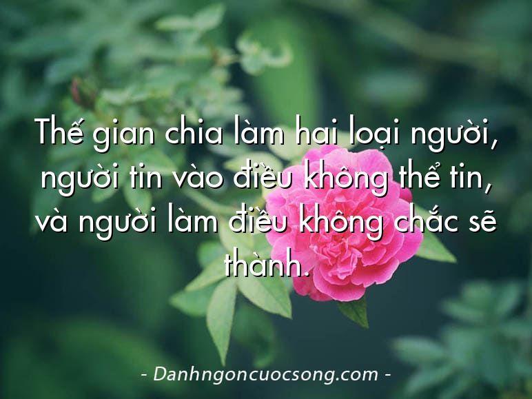 Thế gian chia làm hai loại người, người tin vào điều không thể tin, và người làm điều không chắc sẽ thành.