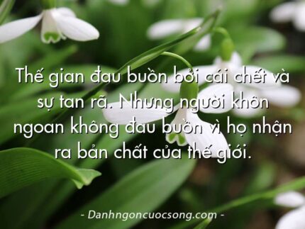 Thế gian đau buồn bởi cái chết và sự tan rã. Nhưng người khôn ngoan không đau buồn vì họ nhận ra bản chất của thế giới.