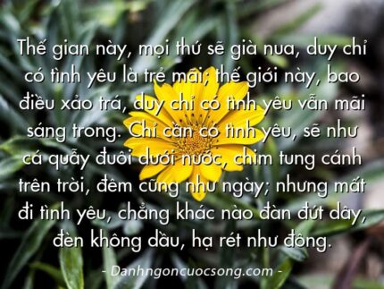 Thế gian này, mọi thứ sẽ già nua, duy chỉ có tình yêu là trẻ mãi; thế giới này, bao điều xảo trá, duy chỉ có tình yêu vẫn mãi sáng trong. Chỉ cần có tình yêu, sẽ như cá quẫy đuôi dưới nước, chim tung cánh trên trời, đêm cũng như ngày; nhưng mất đi tình yêu, chẳng khác nào đàn đứt dây, đèn không dầu, hạ rét như đông.  