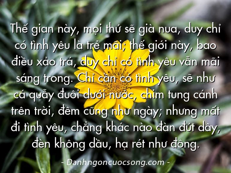 Thế gian này, mọi thứ sẽ già nua, duy chỉ có tình yêu là trẻ mãi; thế giới này, bao điều xảo trá, duy chỉ có tình yêu vẫn mãi sáng trong. Chỉ cần có tình yêu, sẽ như cá quẫy đuôi dưới nước, chim tung cánh trên trời, đêm cũng như ngày; nhưng mất đi tình yêu, chẳng khác nào đàn đứt dây, đèn không dầu, hạ rét như đông.  