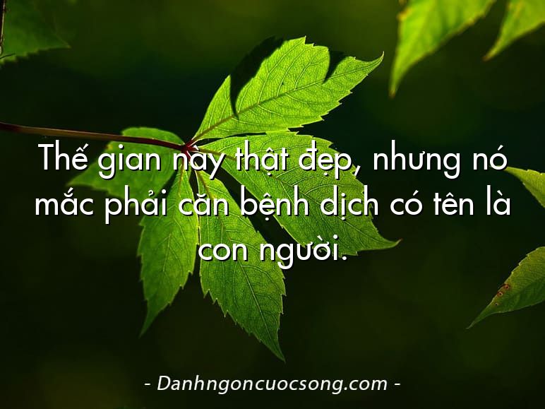 Thế gian này thật đẹp, nhưng nó mắc phải căn bệnh dịch có tên là con người.