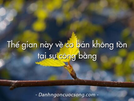 Thế gian này về cơ bản không tồn tại sự công bằng
