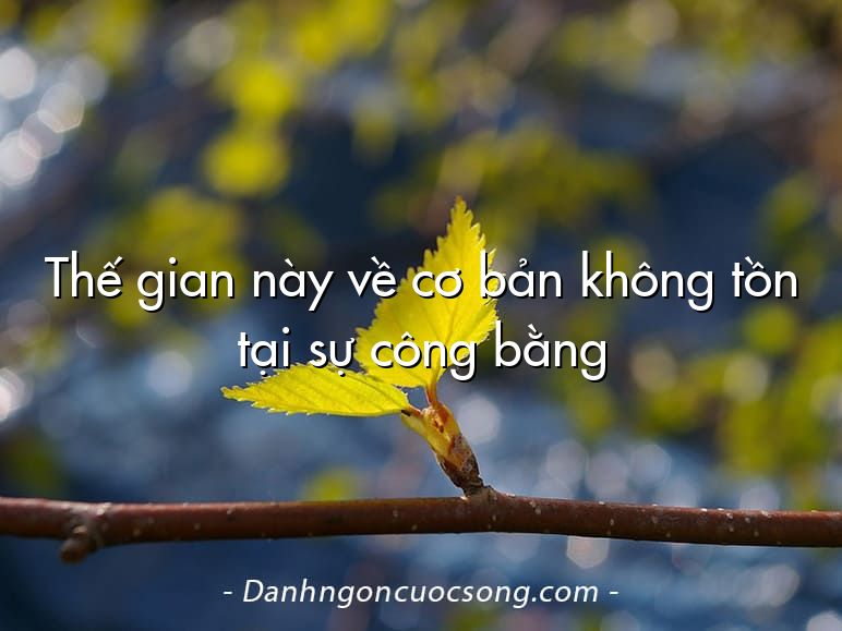 Thế gian này về cơ bản không tồn tại sự công bằng