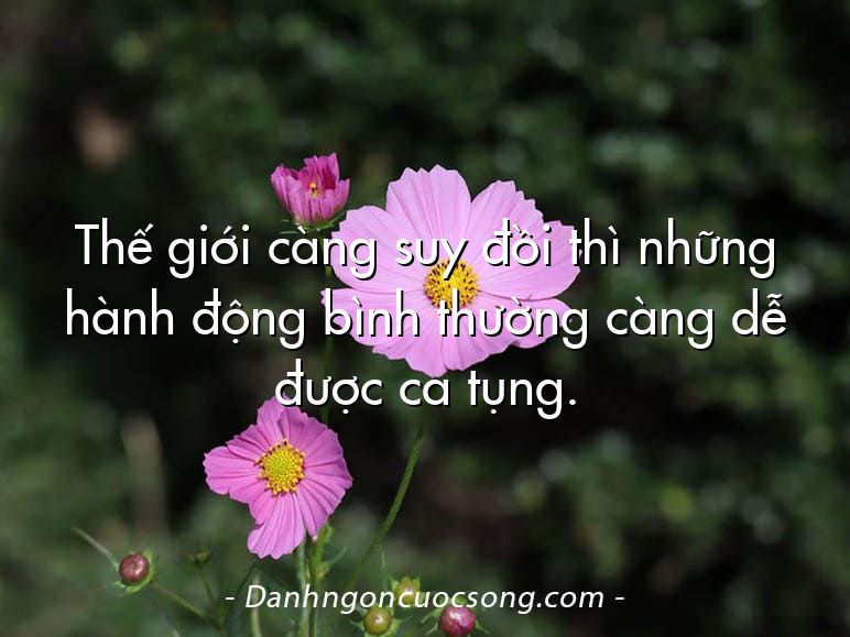 Thế giới càng suy đồi thì những hành động bình thường càng dễ được ca tụng.