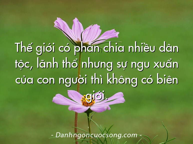 Thế giới có phân chia nhiều dân tộc, lãnh thổ nhưng sự ngu xuẩn của con người thì không có biên giới.