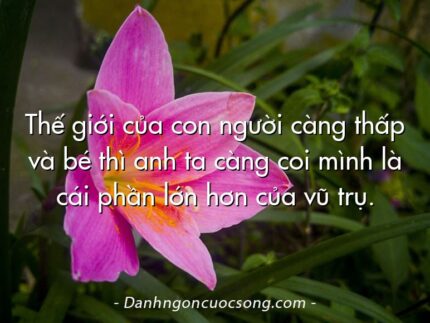 Thế giới của con người càng thấp và bé thì anh ta càng coi mình là cái phần lớn hơn của vũ trụ.