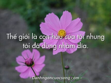 Thế giới là con hàu của tôi nhưng tôi đã dùng nhầm dĩa.