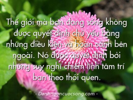 Thế giới mà bạn đang sống không được quyết định chủ yếu bằng những điều kiện và hoàn cảnh bên ngoài. Nó được quyết định bởi những suy nghĩ chiếm lĩnh tâm trí bạn theo thói quen.