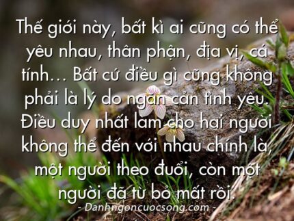 Thế giới này, bất kì ai cũng có thể yêu nhau, thân phận, địa vị, cá tính… Bất cứ điều gì cũng không phải là lý do ngăn cản tình yêu. Điều duy nhất làm cho hai người không thể đến với nhau chính là, một người theo đuổi, còn một người đã từ bỏ mất rồi.