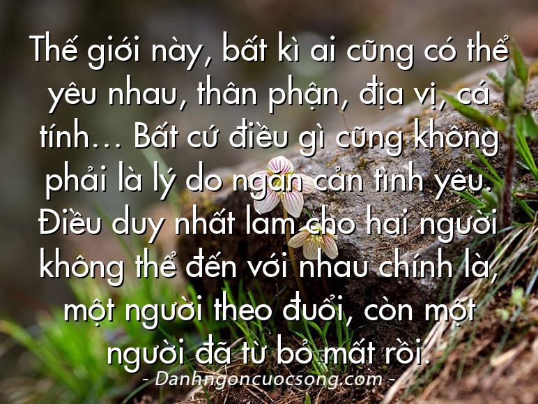 Thế giới này, bất kì ai cũng có thể yêu nhau, thân phận, địa vị, cá tính… Bất cứ điều gì cũng không phải là lý do ngăn cản tình yêu. Điều duy nhất làm cho hai người không thể đến với nhau chính là, một người theo đuổi, còn một người đã từ bỏ mất rồi.
