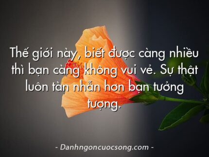 Thế giới này, biết được càng nhiều thì bạn càng không vui vẻ. Sự thật luôn tàn nhẫn hơn bạn tưởng tượng.