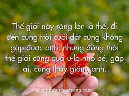 Thế giới này rộng lớn là thế, đi đến cùng trời cuối đất cũng không gặp được anh, nhưng đồng thời thế giới cũng quá ư là nhỏ bé, gặp ai, cũng thấy giống anh.