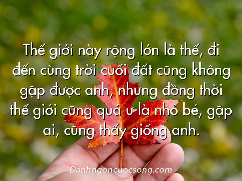 Thế giới này rộng lớn là thế, đi đến cùng trời cuối đất cũng không gặp được anh, nhưng đồng thời thế giới cũng quá ư là nhỏ bé, gặp ai, cũng thấy giống anh.