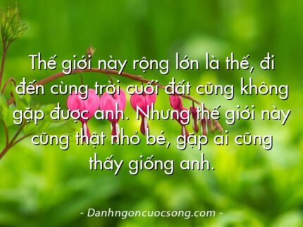Thế giới này rộng lớn là thế, đi đến cùng trời cuối đất cũng không gặp được anh. Nhưng thế giới này cũng thật nhỏ bé, gặp ai cũng thấy giống anh.