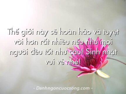 Thế giới này sẽ hoàn hảo và tuyệt vời hơn rất nhiều nếu như mọi người đều tốt như cậu! Sinh nhật vui vẻ nhé!
