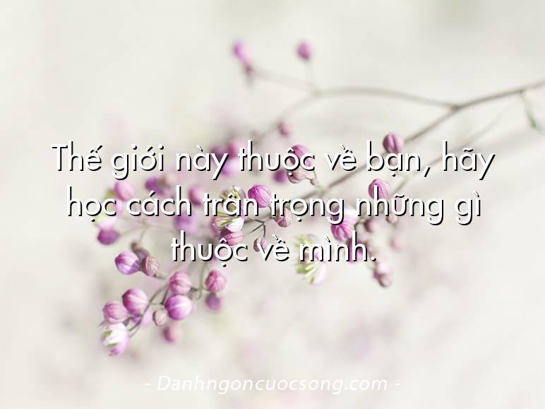 Thế giới này thuộc về bạn, hãy học cách trân trọng những gì thuộc về mình.