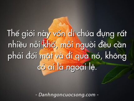 Thế giới này vốn dĩ chứa đựng rất nhiều nỗi khổ, mỗi người đều cần phải đối mặt và đi qua nó, không có ai là ngoại lệ.
