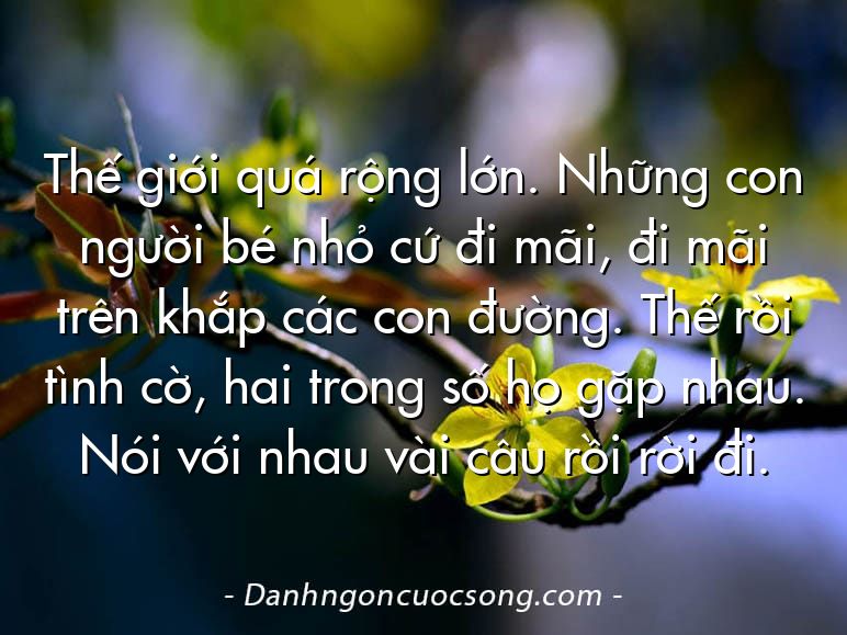Thế giới quá rộng lớn. Những con người bé nhỏ cứ đi mãi, đi mãi trên khắp các con đường. Thế rồi tình cờ, hai trong số họ gặp nhau. Nói với nhau vài câu rồi rời đi.