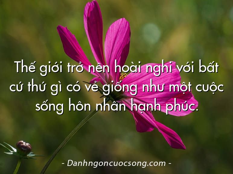 Thế giới trở nên hoài nghi với bất cứ thứ gì có vẻ giống như một cuộc sống hôn nhân hạnh phúc.