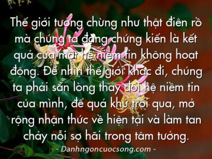 Thế giới tưởng chừng như thật điên rồ mà chúng ta đang chứng kiến là kết quả của một hệ niềm tin không hoạt động. Để nhìn thế giới khác đi, chúng ta phải sẵn lòng thay đổi hệ niềm tin của mình, để quá khứ trôi qua, mở rộng nhận thức về hiện tại và làm tan chảy nỗi sợ hãi trong tâm tưởng.